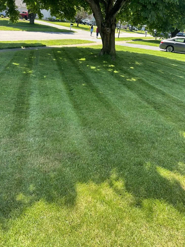 Custom yard cleanup service in Rochester, NY by CM Landscaping