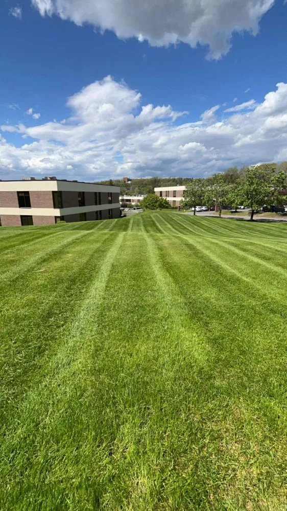 Expert yard maintenance in Rochester, NY by CM Landscaping