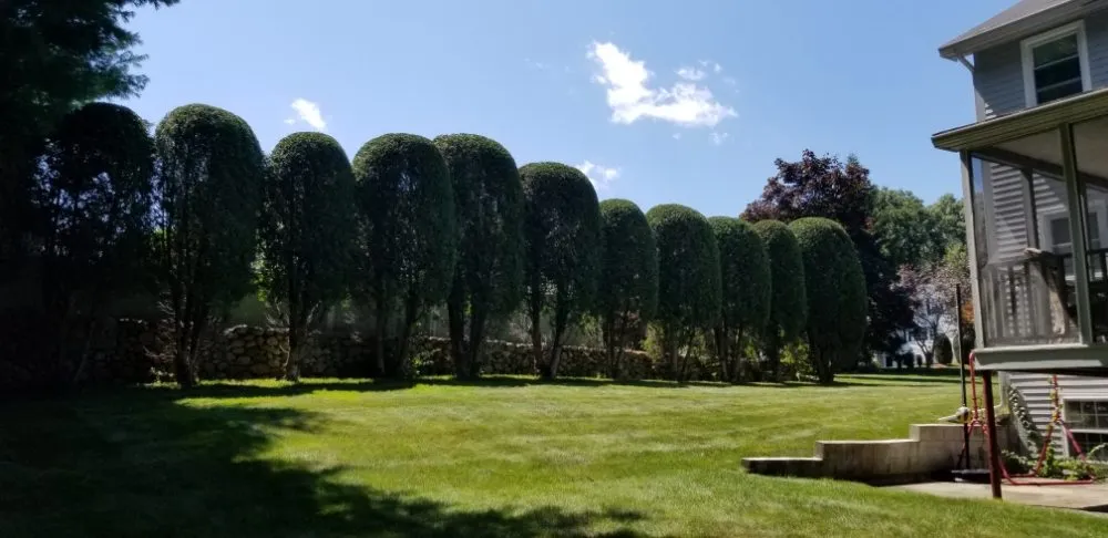 Affordable outdoor landscaping experts serving Lowell, MA - CM Landscaping Services