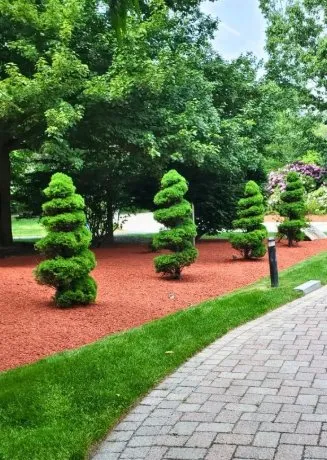Trusted yard maintenance in Lowell, MA by CM Landscaping Services