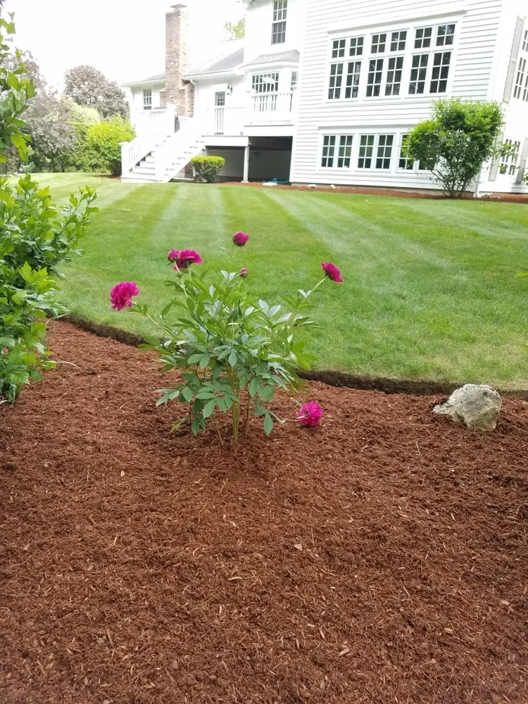 Local residential landscaping in Lowell, MA - CM Landscaping Services