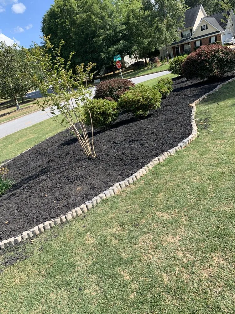 Affordable yard cleanup service in Sharpsburg, GA by C&M Landscaping