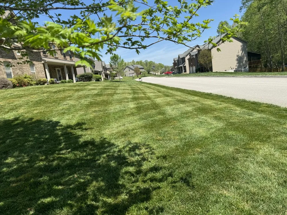 Top-rated landscape installation in Knoxville, TN - CM Lawn and Landscape