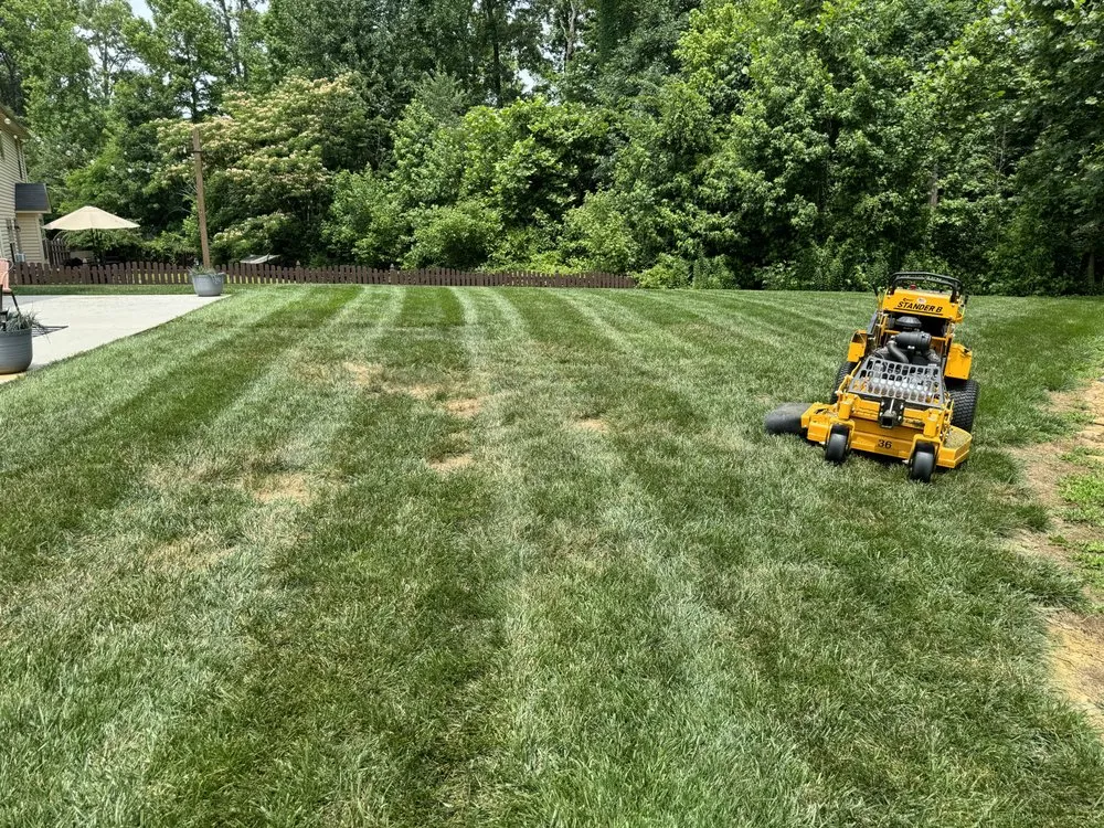 Trusted landscape design in Knoxville, TN by CM Lawn and Landscape