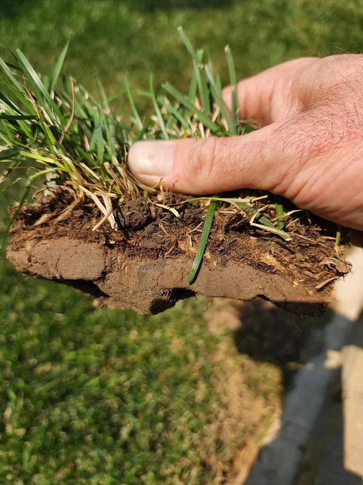 Trusted lawn care service in Caldwell, ID by C&M Lawn Care