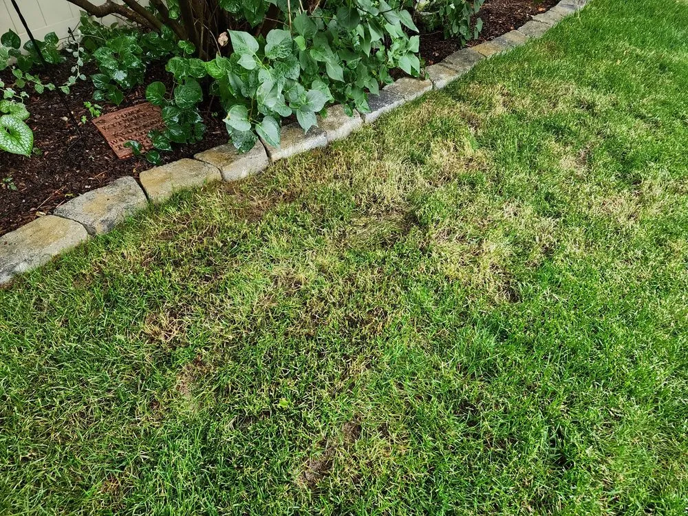 Affordable landscaping services experts serving Caldwell, ID - C&M Lawn Care