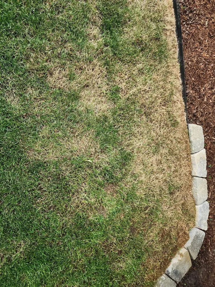 Expert garden landscaping for beautiful yards across Caldwell, ID - C&M Lawn Care