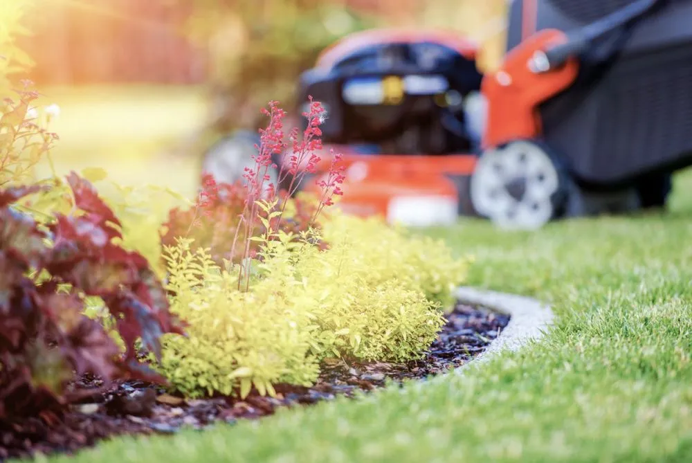 Expert yard cleanup service experts serving Hampton, GA - C.M. Lawn Care