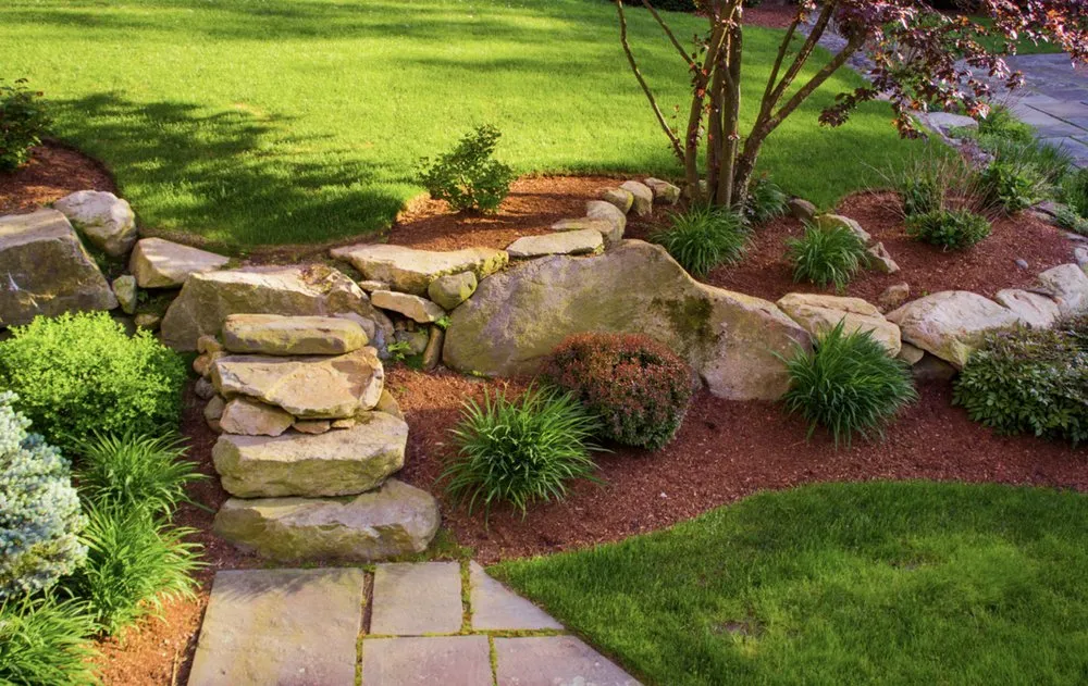 Expert landscaping services experts serving Hampton, GA - C.M. Lawn Care