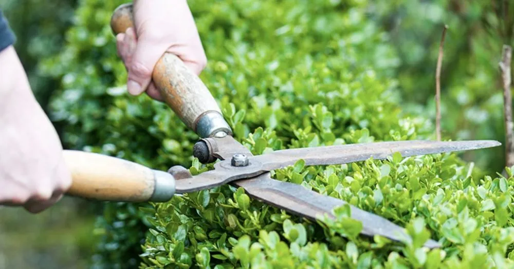 Expert landscape installation experts serving Hampton, GA - C.M. Lawn Care