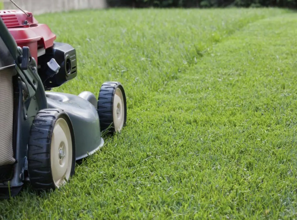 Affordable landscaping services in Hampton, GA - C.M. Lawn Care