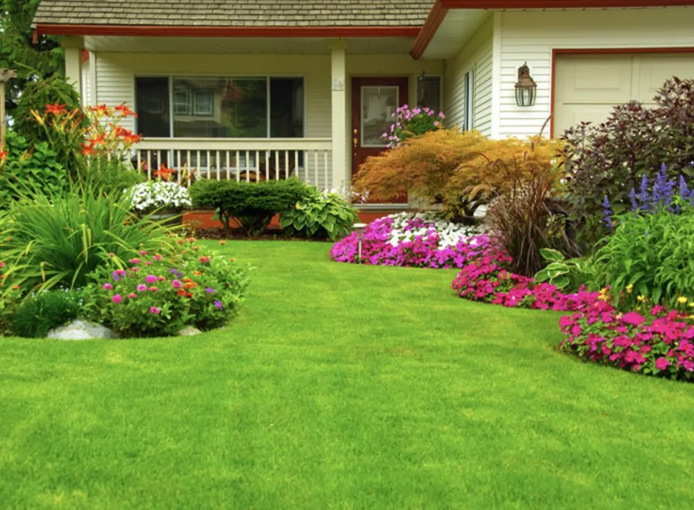 Local yard cleanup service in Hampton, GA - C.M. Lawn Care