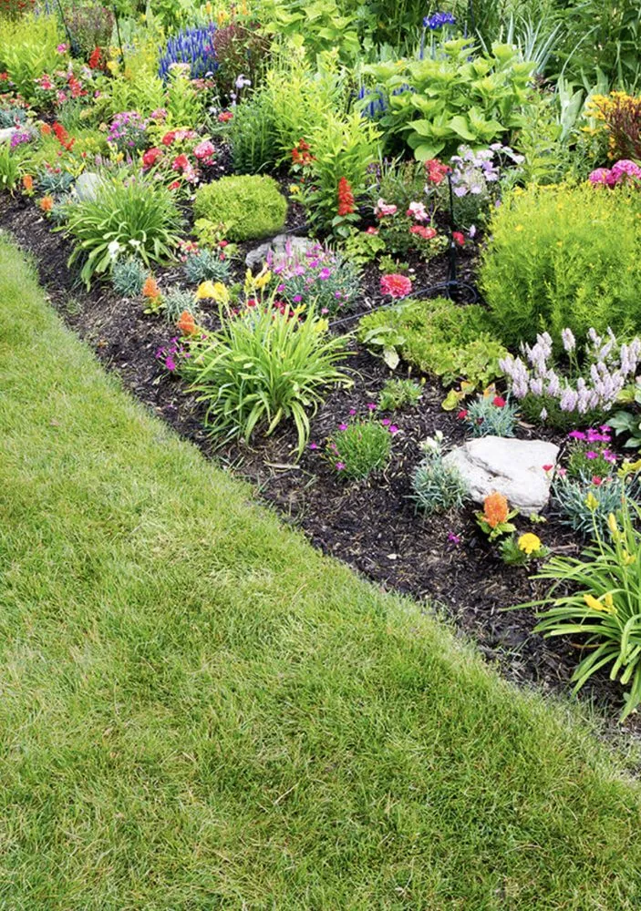 Local landscaping services for beautiful yards across Hampton, GA - C.M. Lawn Care