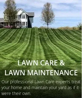 Professional yard cleanup service in Lebanon, IL - CM Lawn Care