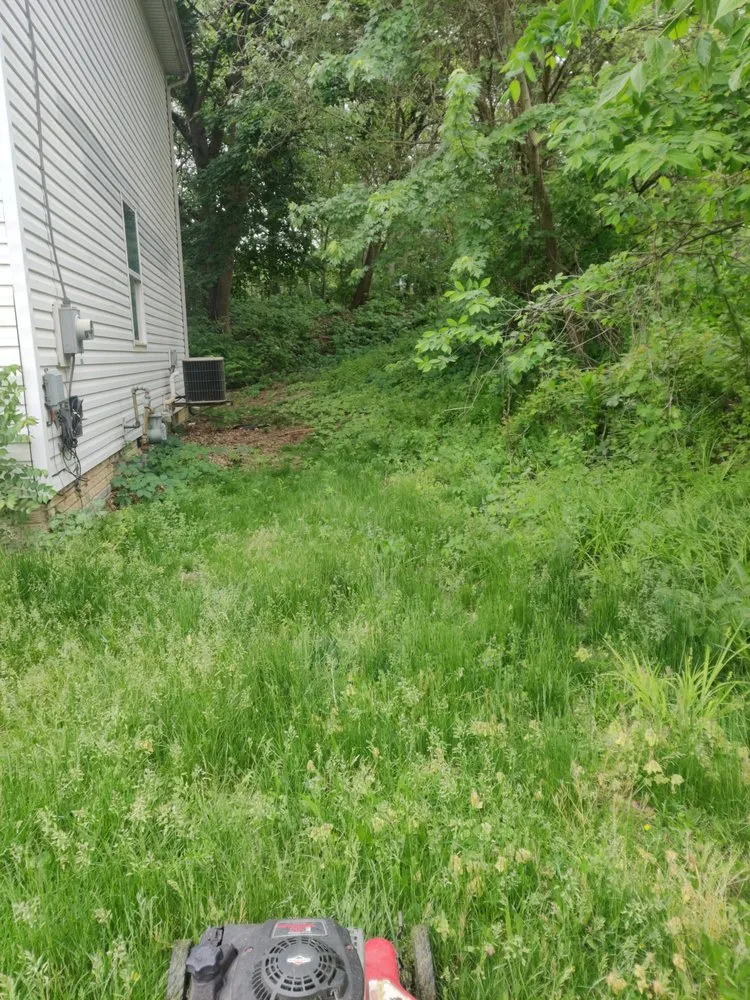 Professional landscape design in Canton, OH - C&M LAWN Service