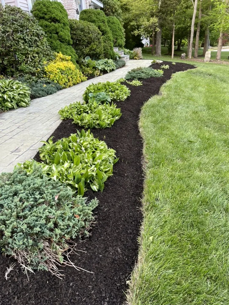 Local lawn mowing service in Swansea, MA by CM Lawn Services