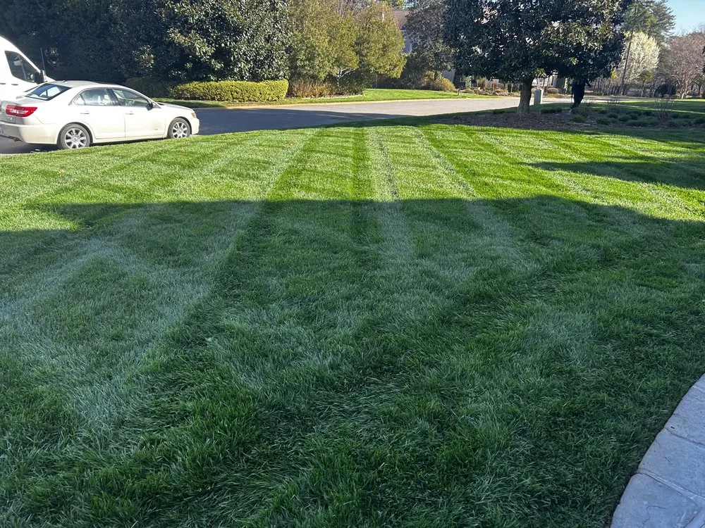 Expert landscape installation for beautiful yards in China Grove, NC by C&M Lawncare