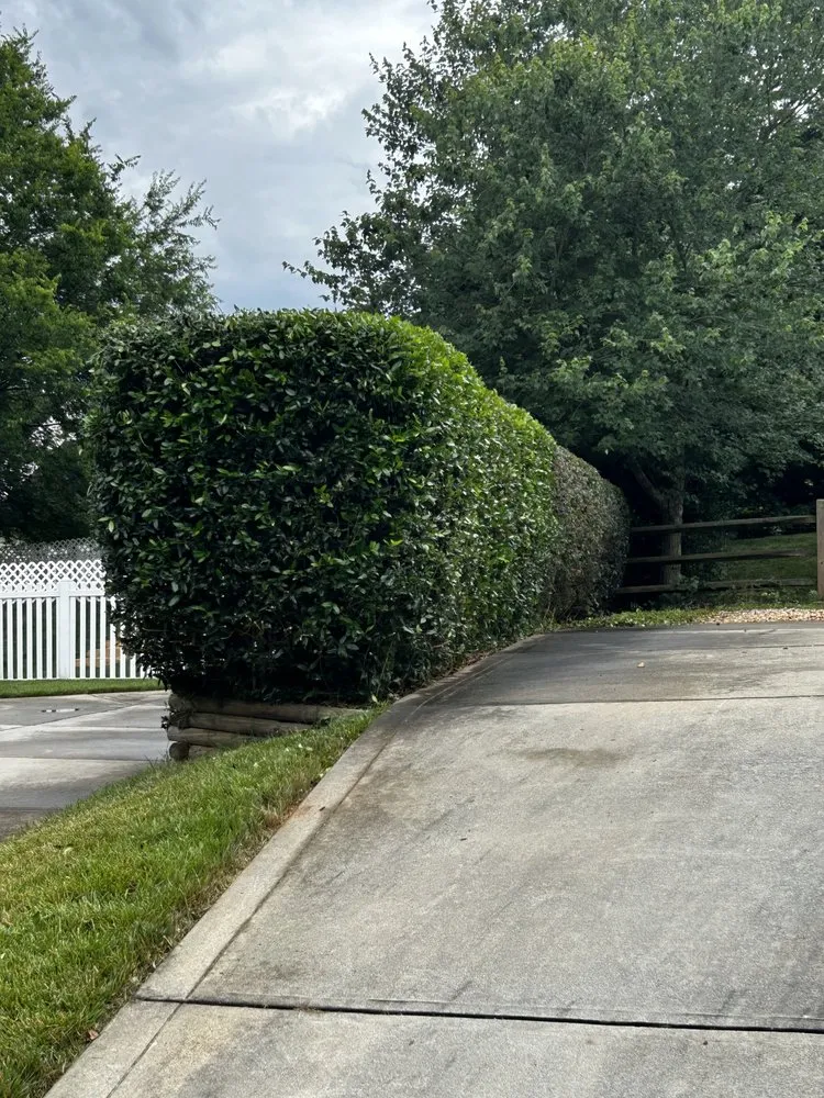 Reliable yard cleanup service near you across China Grove, NC - C&M Lawncare