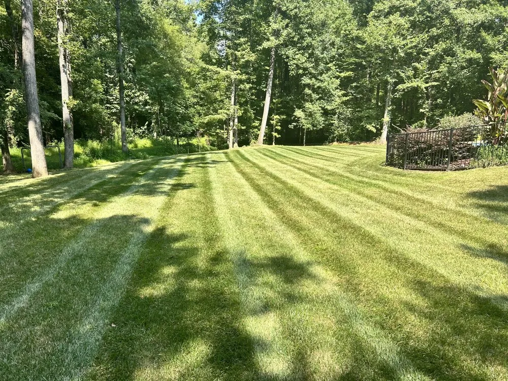 Trusted lawn mowing service experts serving China Grove, NC - C&M Lawncare