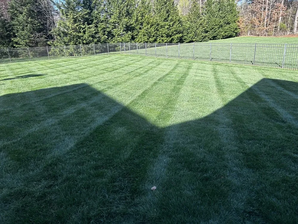 Top-rated lawn mowing service in China Grove, NC by C&M Lawncare