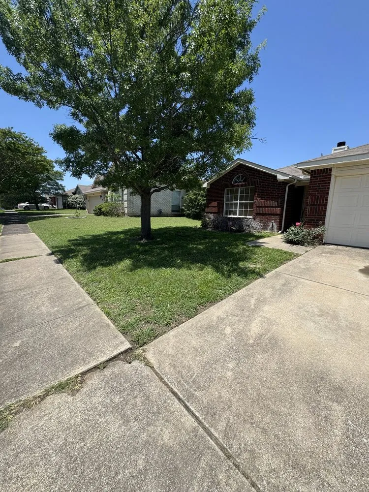 Custom garden landscaping in Garland, TX by CM Lawncare