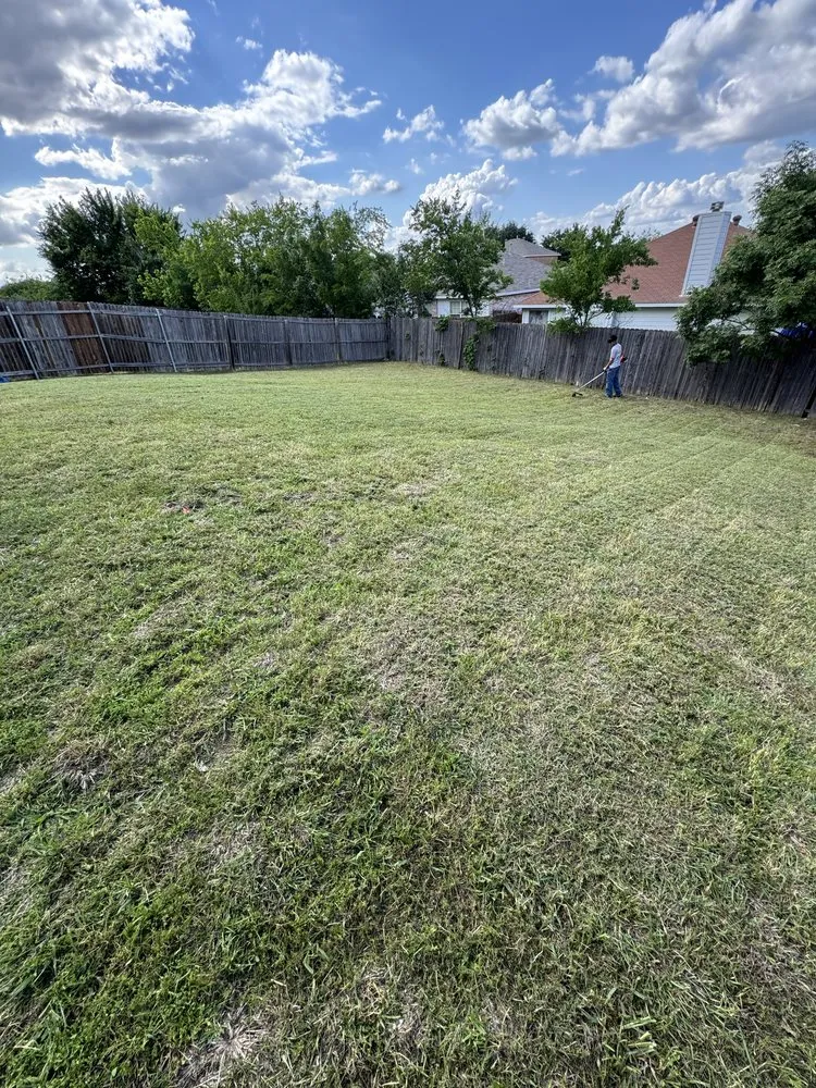 Affordable residential landscaping in Garland, TX by CM Lawncare