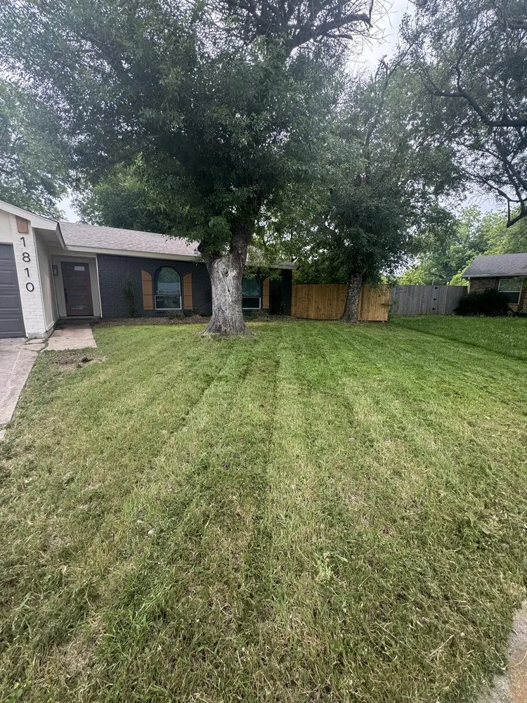 Affordable garden landscaping for year-round maintenance in Garland, TX by CM Lawncare