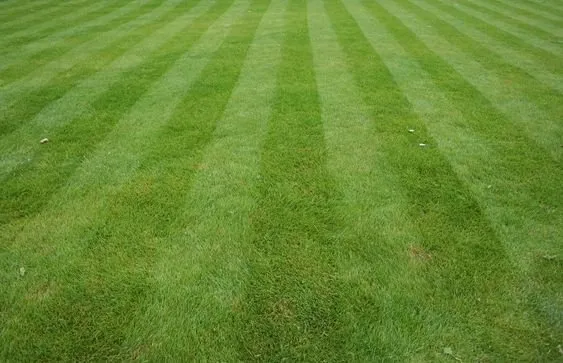 Local yard maintenance in Shelley, ID by CM Mowing