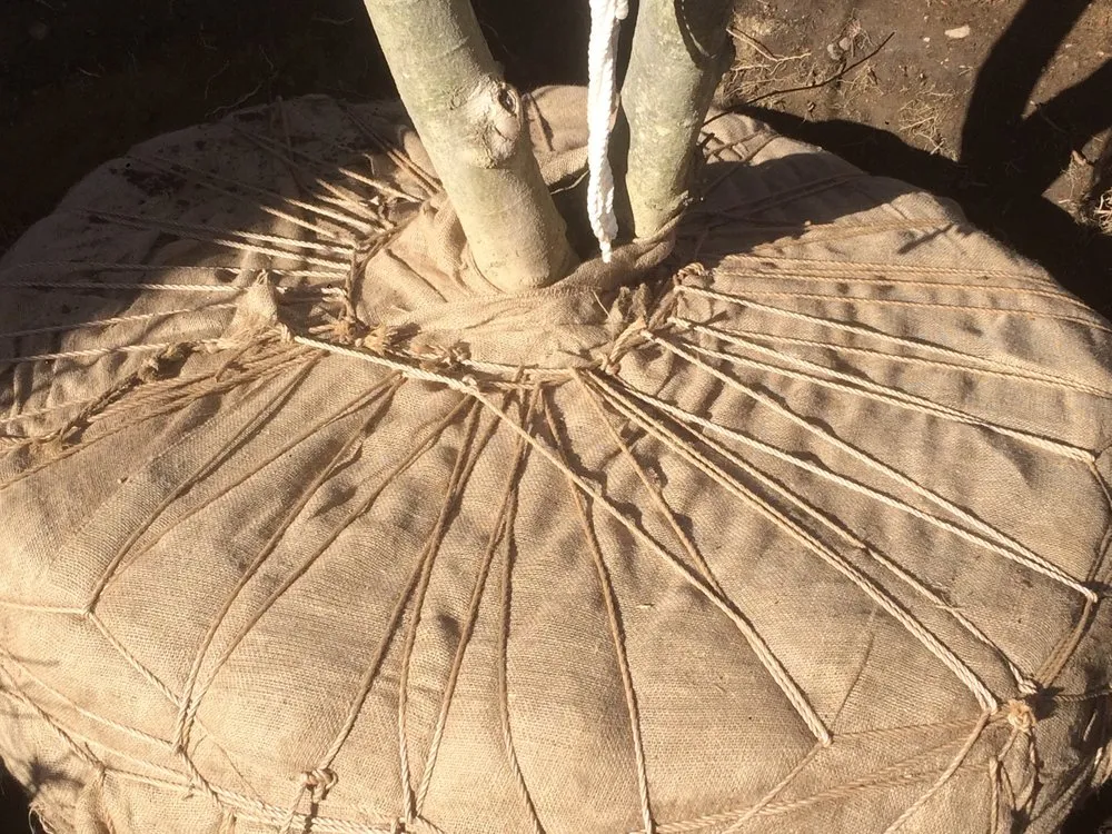 Local garden landscaping for homes in Denmark, ME by CM Nichols Landscape