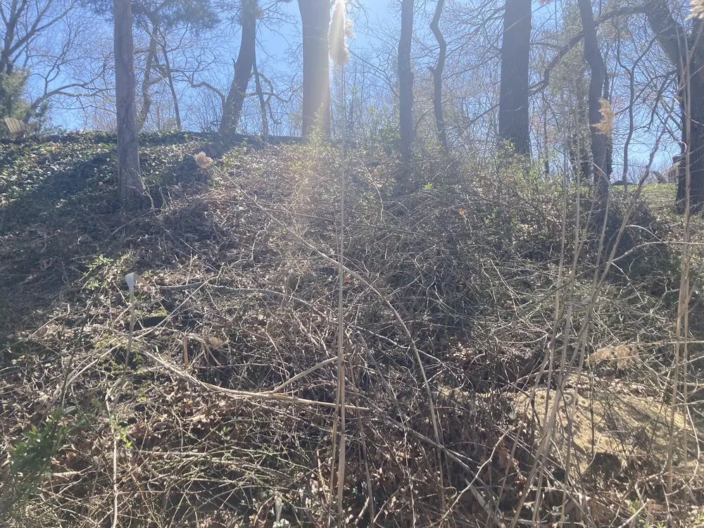 Professional landscape installation in Huntingtown, MD by CM Outdoor Works