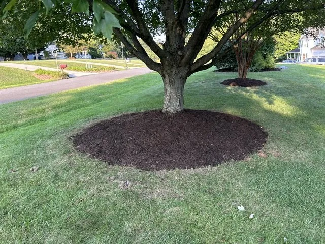 Trusted yard maintenance in Huntingtown, MD - CM Outdoor Works