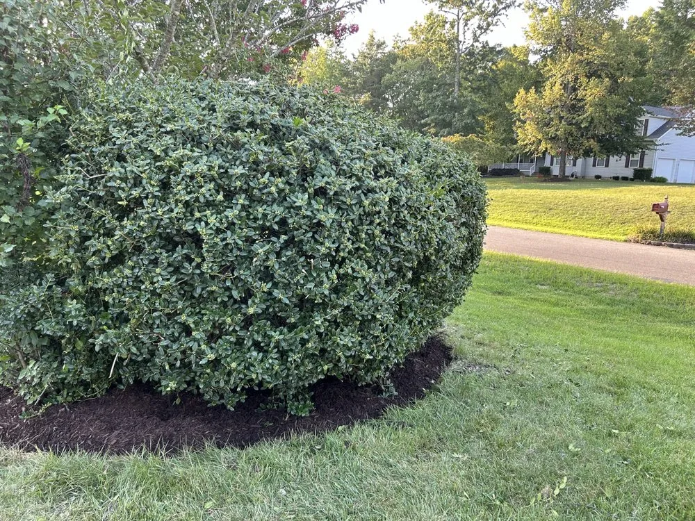 Professional landscaping services in Huntingtown, MD by CM Outdoor Works