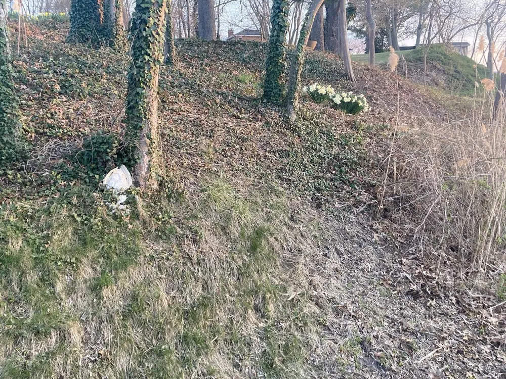 Custom lawn care service in Huntingtown, MD by CM Outdoor Works