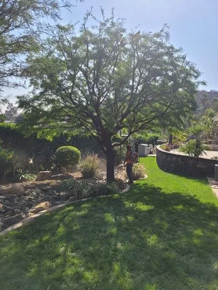 Professional lawn mowing service in San Diego, CA by CM Precision Tree and Landscaping