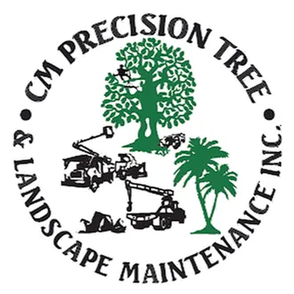Affordable landscaping services experts serving San Diego, CA - CM Precision Tree and Landscaping