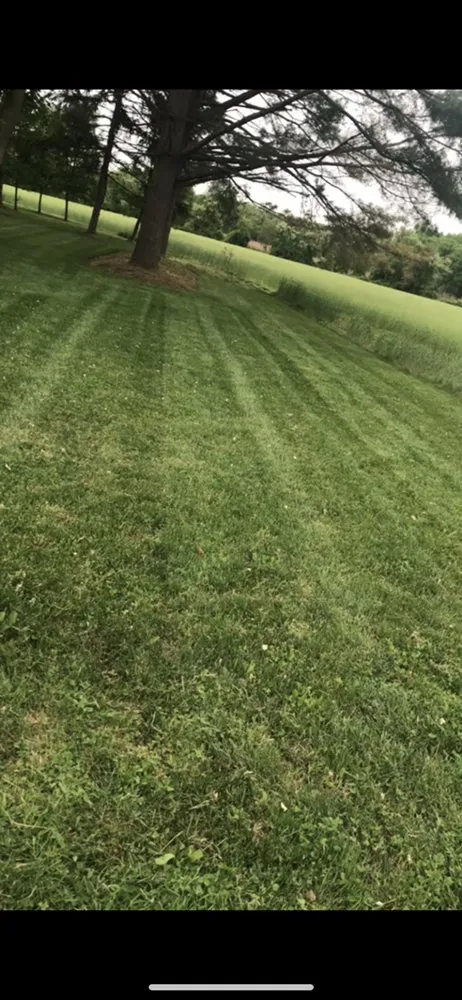 Professional yard cleanup service near you in Vineland, NJ by CM Services