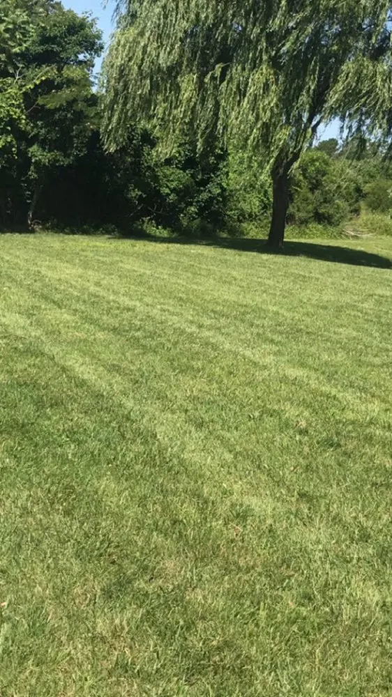 Top-rated lawn mowing service experts serving Vineland, NJ - CM Services