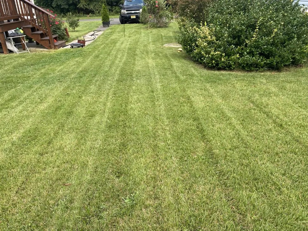 Expert landscaping services in Vineland, NJ by CM Services