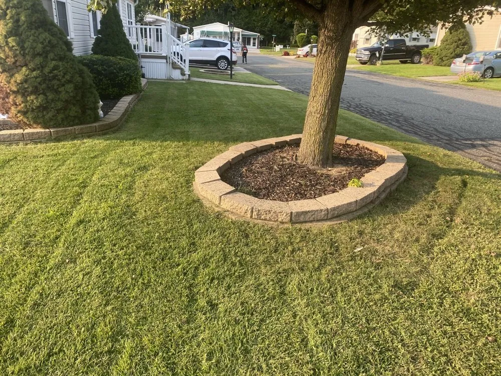 Top-rated landscaping services in Vineland, NJ - CM Services