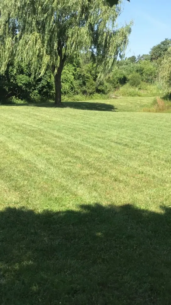 Affordable yard cleanup service for homes in Vineland, NJ by CM Services