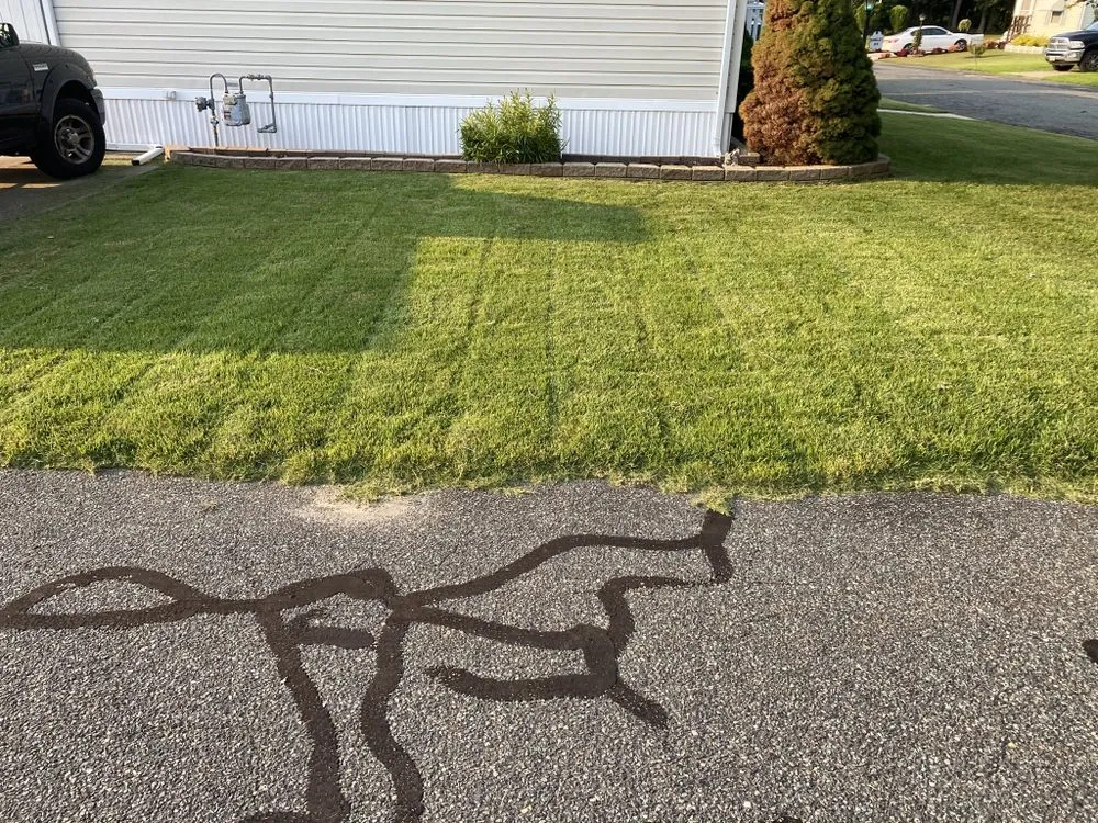 Top-rated landscape installation near you across Vineland, NJ - CM Services