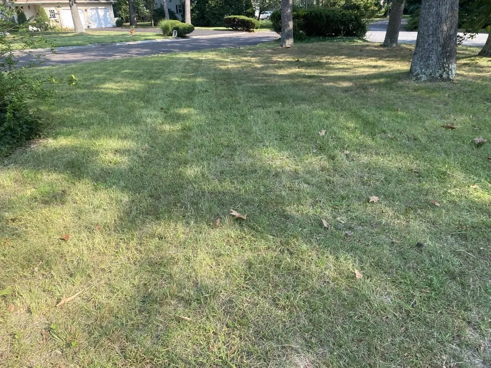 Top-rated residential landscaping near you across Vineland, NJ - CM Services