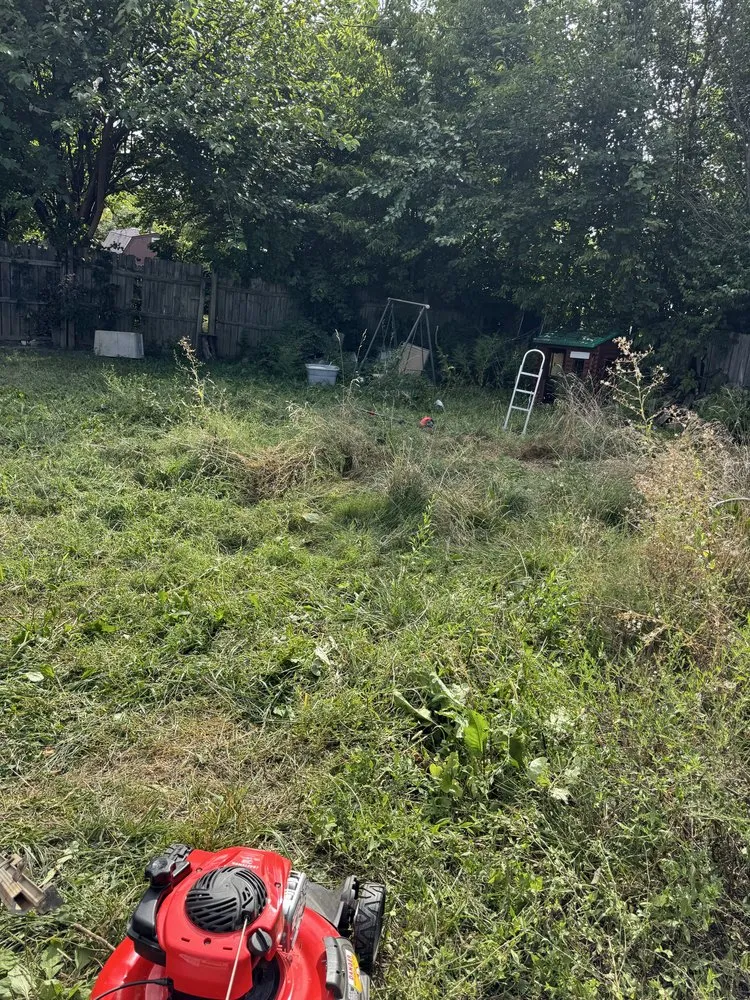 Local outdoor landscaping for homes in Winchester, KY by C&M Services