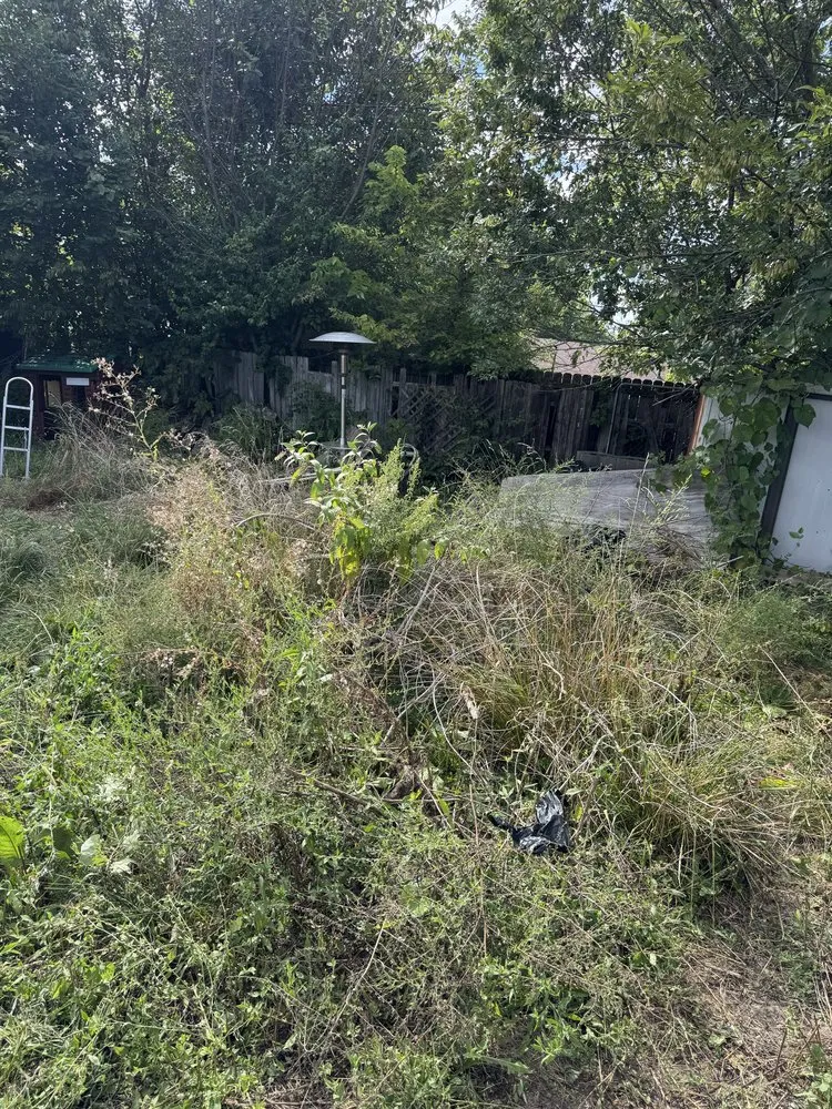 Affordable residential landscaping experts serving Winchester, KY - C&M Services