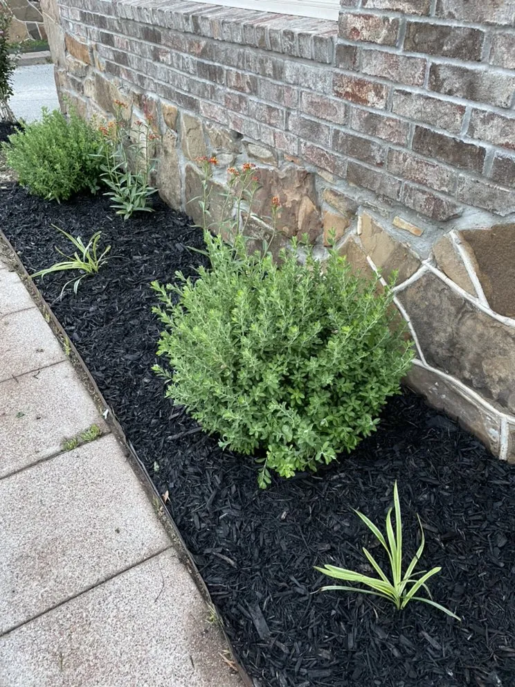 Reliable lawn mowing service in Alvord, TX - C&M Total Lawn Care