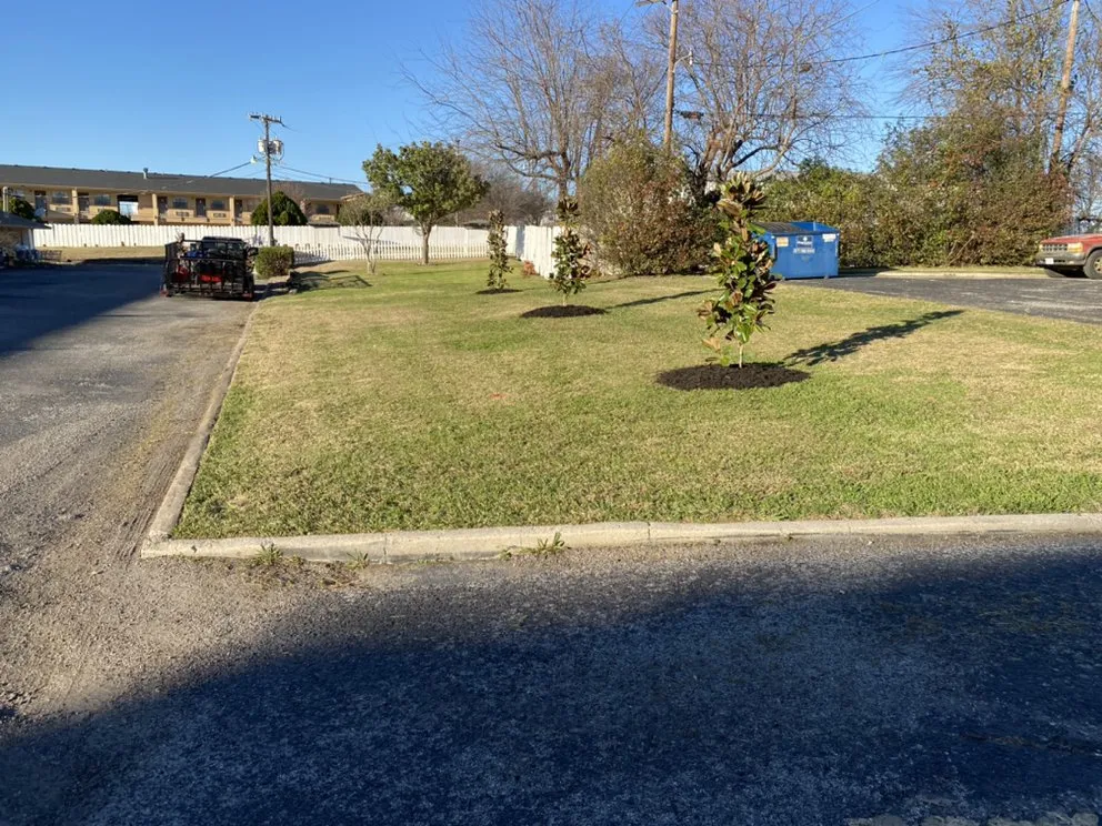 Top-rated landscaping services in Alvord, TX - C&M Total Lawn Care