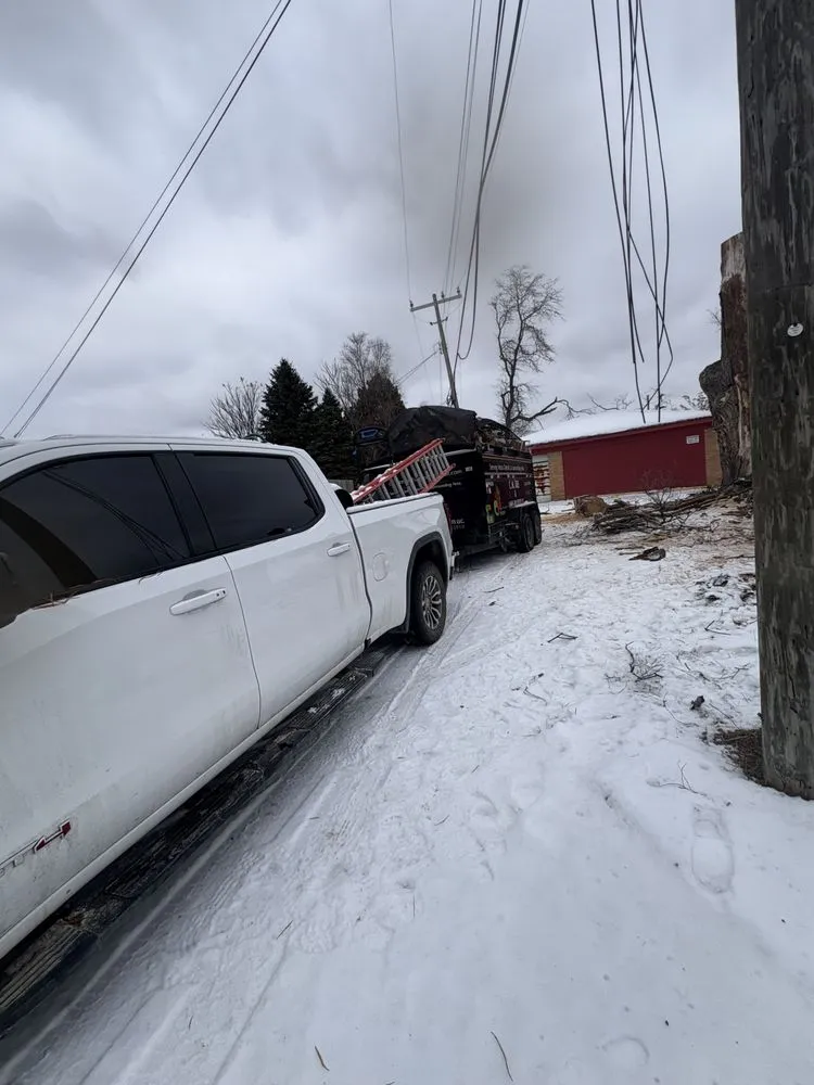 Reliable lawn care service experts serving Plymouth, MI - Cm Tree & Landscape Experts