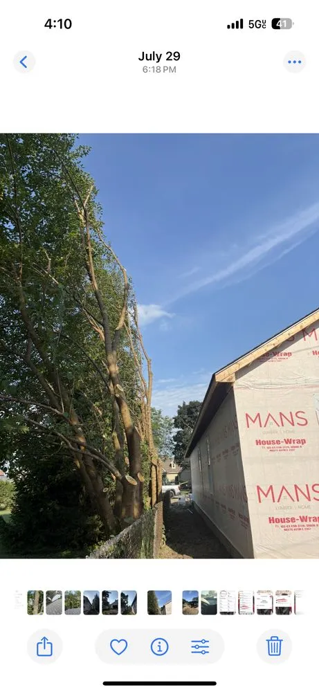 Reliable yard maintenance for year-round maintenance across Plymouth, MI - Cm Tree & Landscape Experts