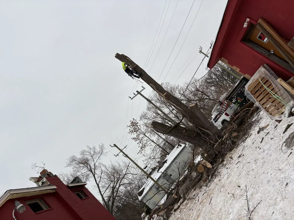 Expert garden landscaping in Plymouth, MI by Cm Tree & Landscape Experts