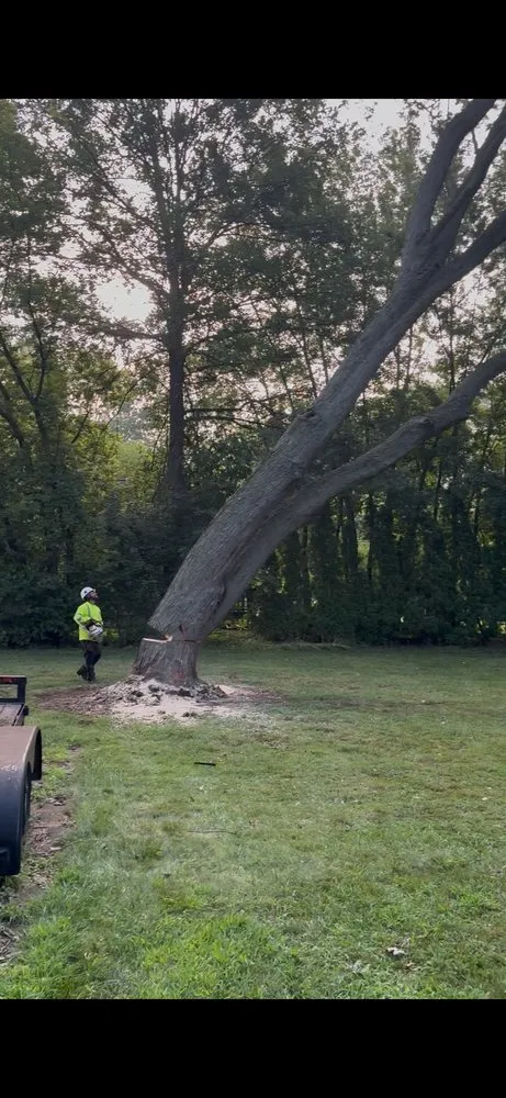 Expert yard maintenance for year-round maintenance in Plymouth, MI by Cm Tree & Landscape Experts